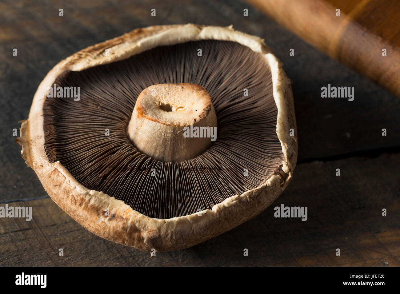 Gesunde Bio roh Portobello Mushroom Kappen verzehrfertige Stockfoto