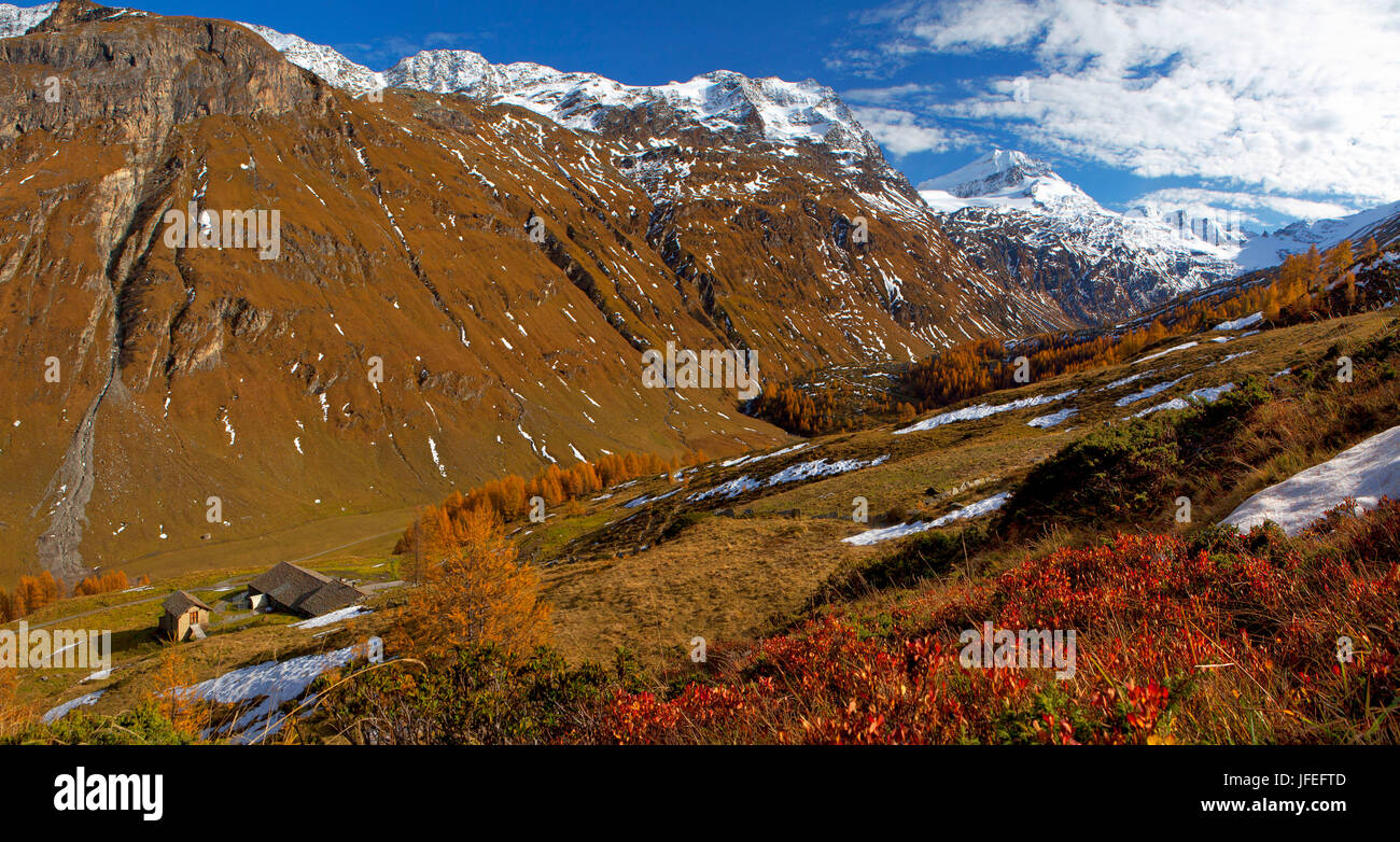 Schweiz, Oberengadin, Fextals, Silseralm Stockfoto