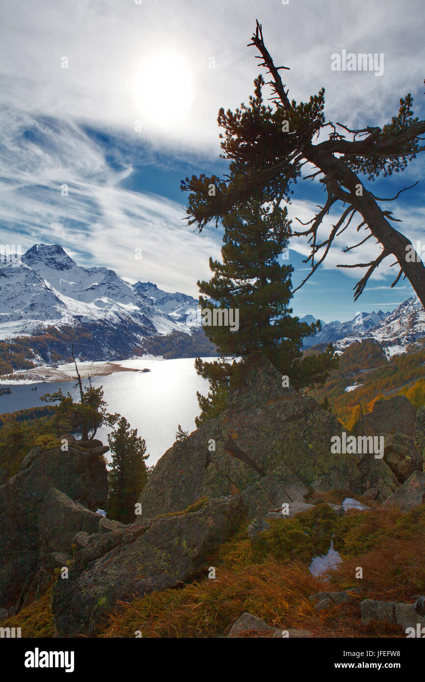 Schweiz, Kanton Graubünden, Silsersee Stockfoto