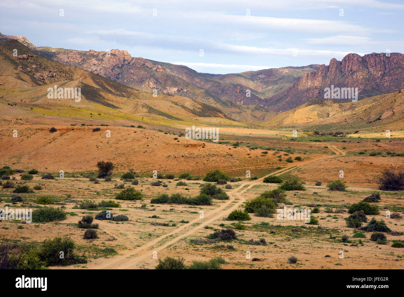 Southern Africa, Südafrika, zum Nordkap, Namaqua, Stockfoto