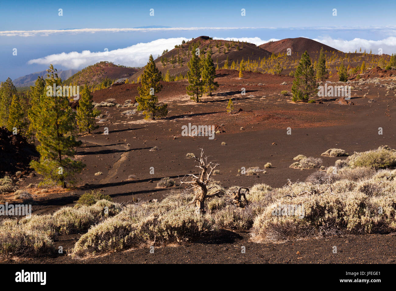 Landschaft der Krater des Teide Nationalparks, Teneriffa, Spanien Stockfoto