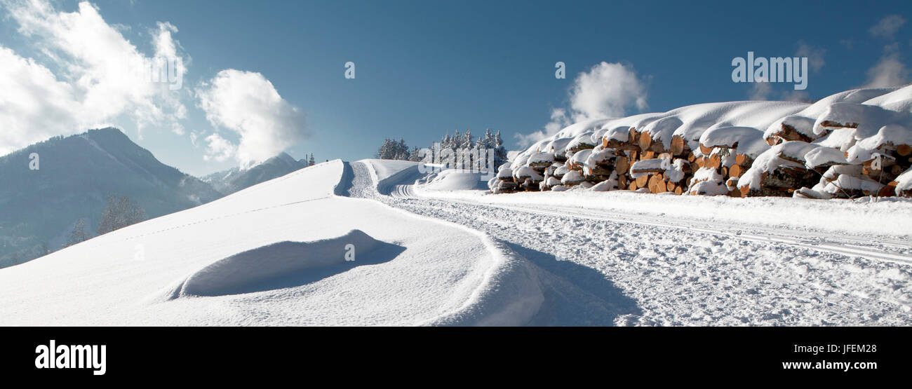 Österreich, Tirol, Hinterthiersee Stockfoto