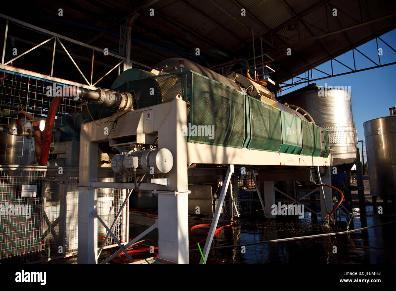 Chile, Valle de Curico, Fair Trade, Vinos Lautaro Wein drücken Stockfoto