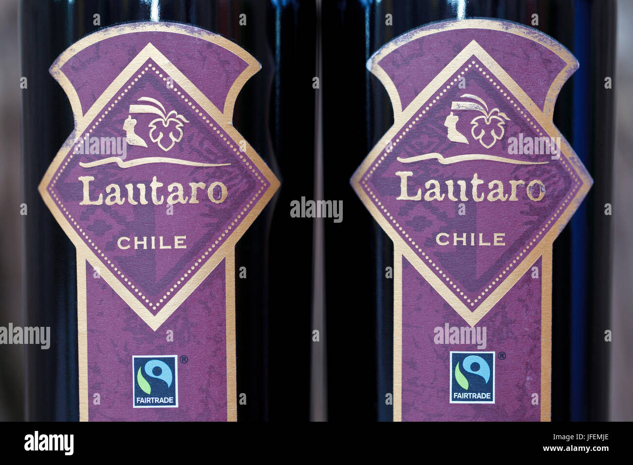 Valle de Curico, Chile, Wein, Vinos Lautaro, Fair Trade Stockfoto