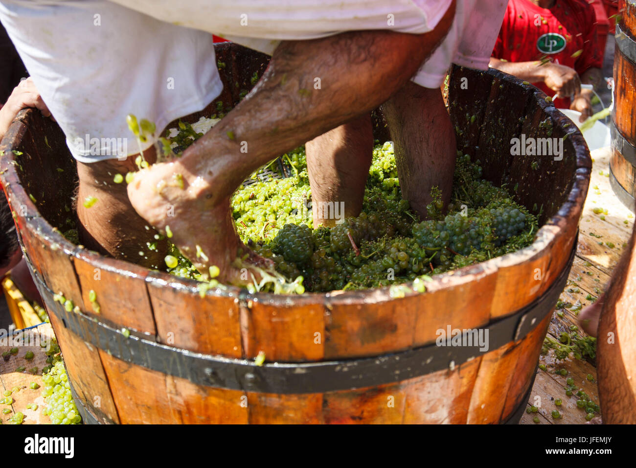 Chile, Valle de Curico, Wein, Weinfest, Traubenstampf Wettbewerb, Stockfoto