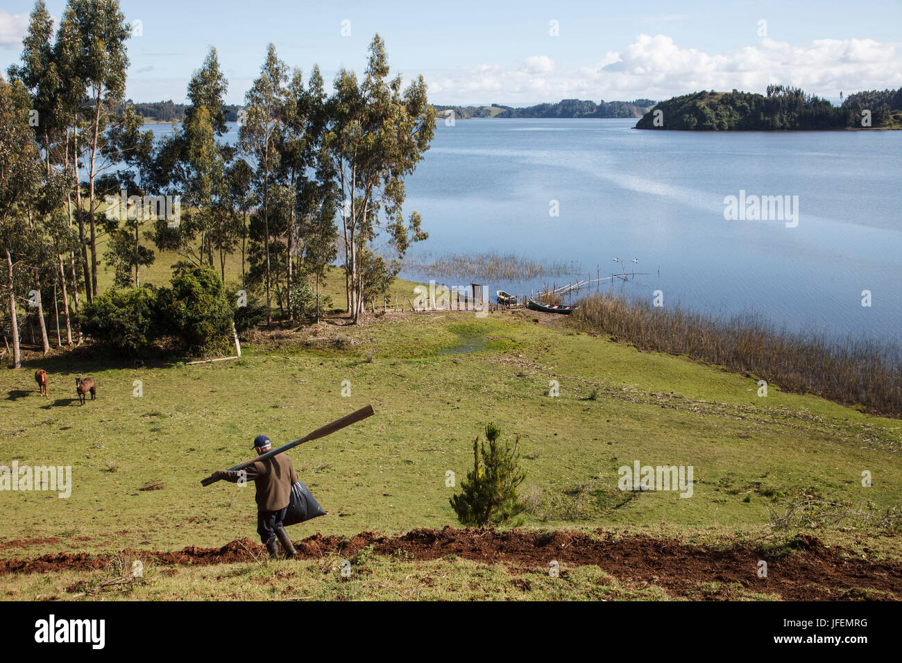 Chile, Araucania, Lago Budi, Llaguepulli, Mapuche, Mann, Stockfoto