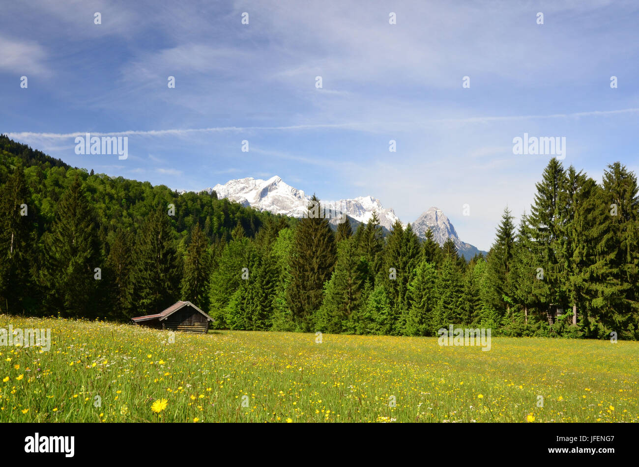 Deutschland, Bayern, Werdenfels, Alm, Berg Holz, Zugspitze Gruppe Stockfoto