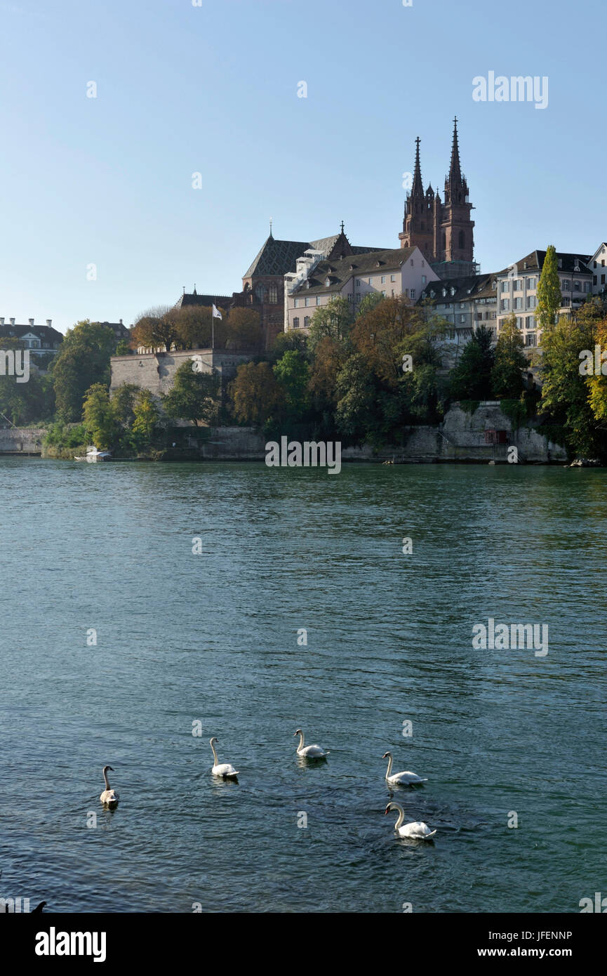 Schweiz, Kanton Basel-Stadt, Basel, dem linken Ufer des Rheins, große Basel und die Kathedrale-Viertel mit der Kathedrale Stockfoto