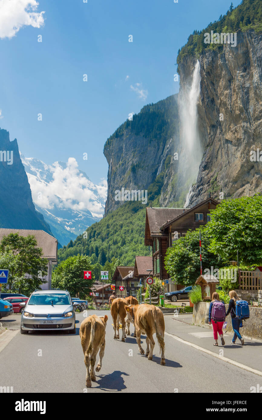 Berg der Schweiz, Stadt Lauterbrunnen, Jungfrau Stockfoto