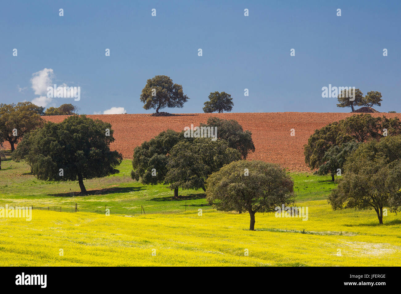 Spanien, Castilla La Mancha Region, Provinz Ciudad Real, Landschaft Stockfoto