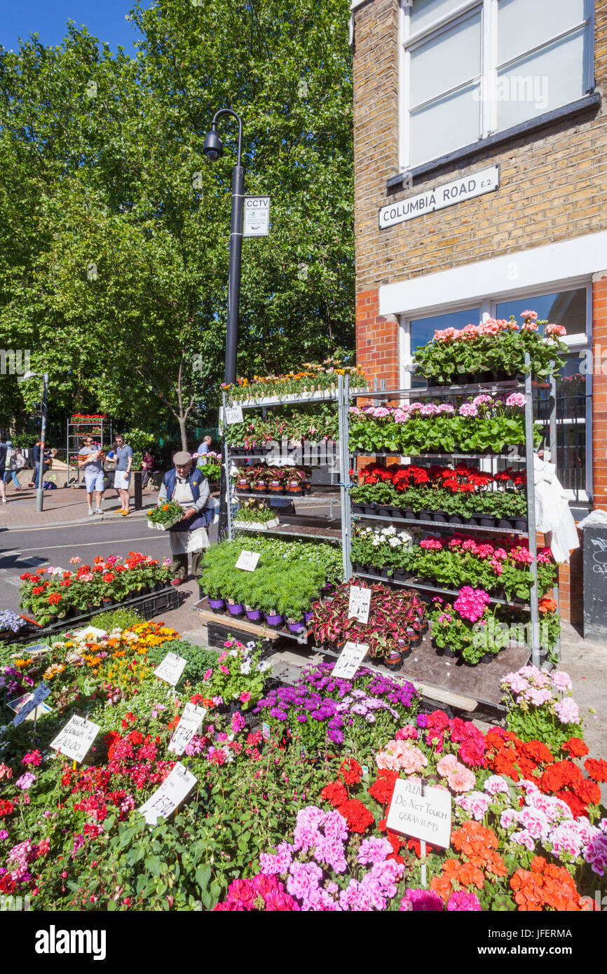 England, London, Tower Hamlets, Shoreditch, Columbia Road, Blumenmarkt Stockfoto