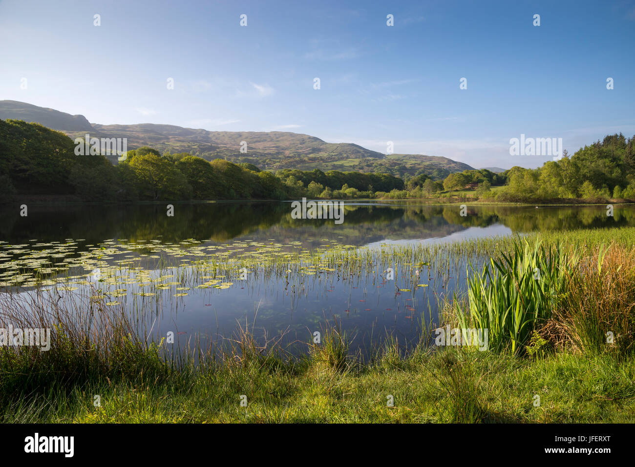 Llyn Tecwyn Isaf, einem schönen See in der Nähe von Harlech im Snowdonia National Park, Nord-Wales. Stockfoto