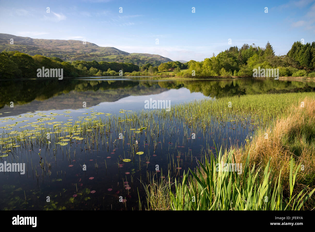 Llyn Tecwyn Isaf, einem schönen See in der Nähe von Harlech im Snowdonia National Park, Nord-Wales. Stockfoto