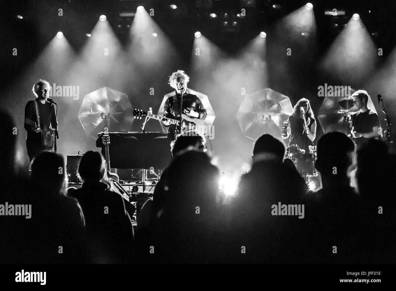 Wallis Bird Stockfoto