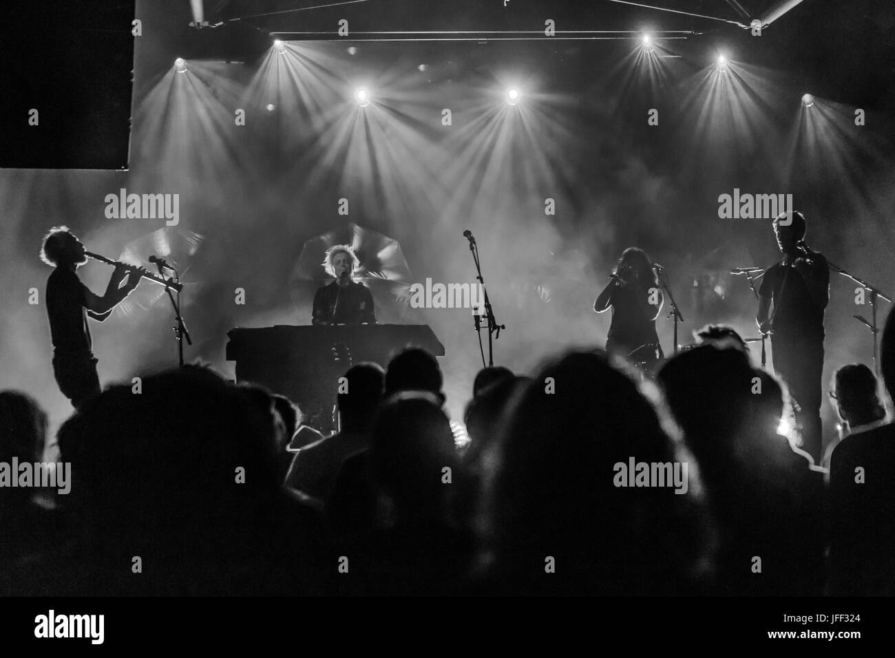 Wallis Bird Stockfoto