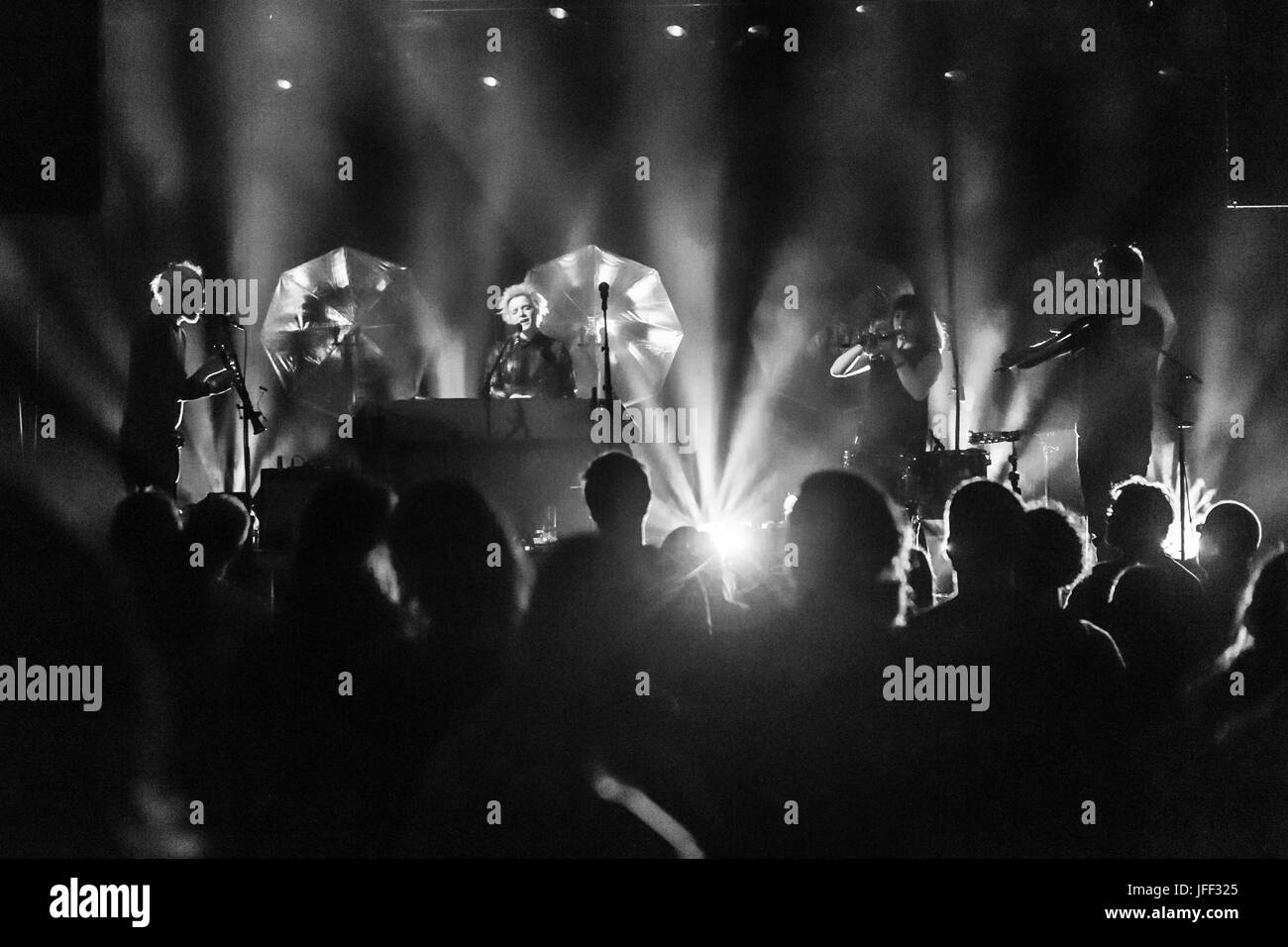 Wallis Bird Stockfoto