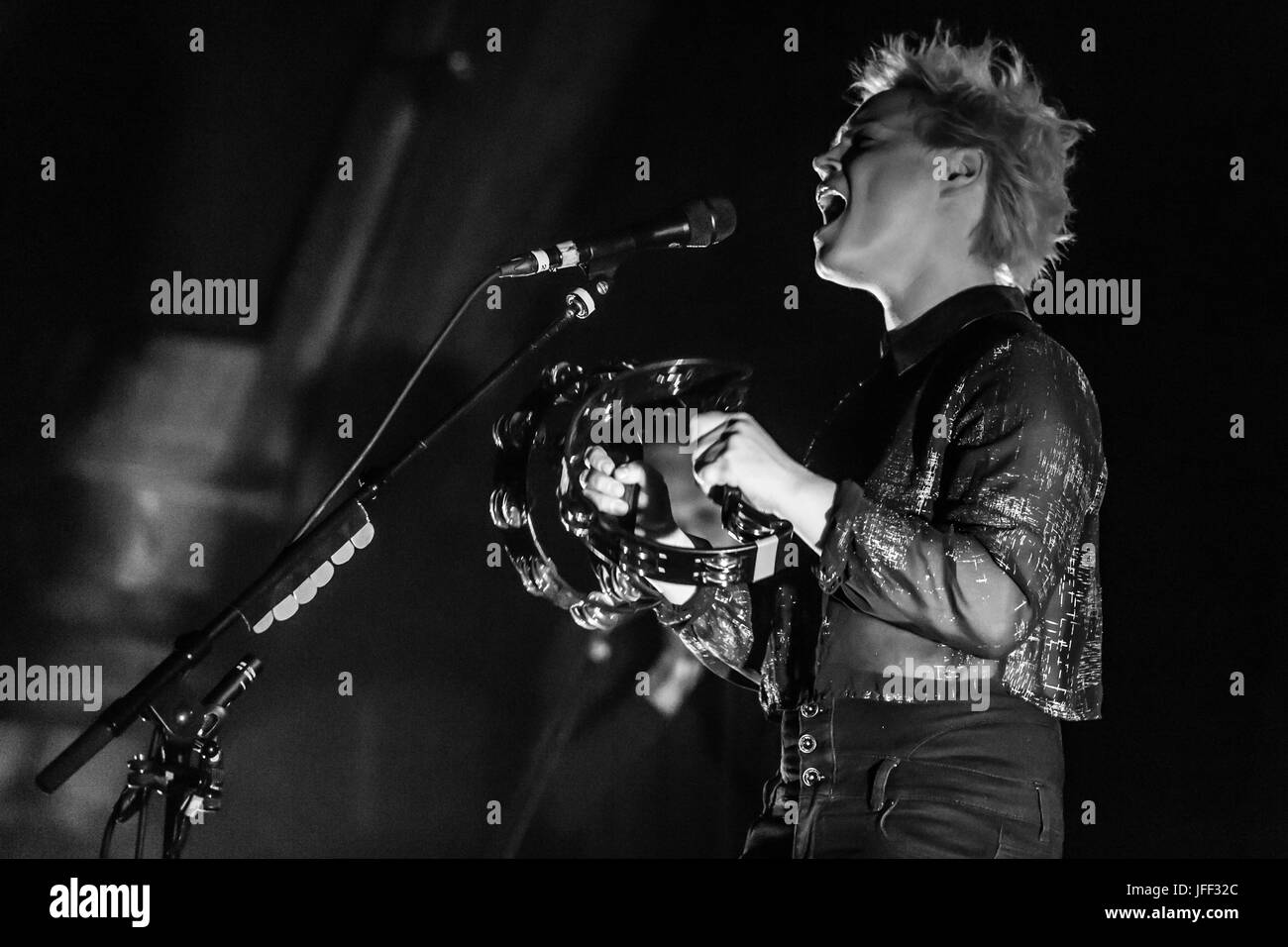 Wallis Bird Stockfoto