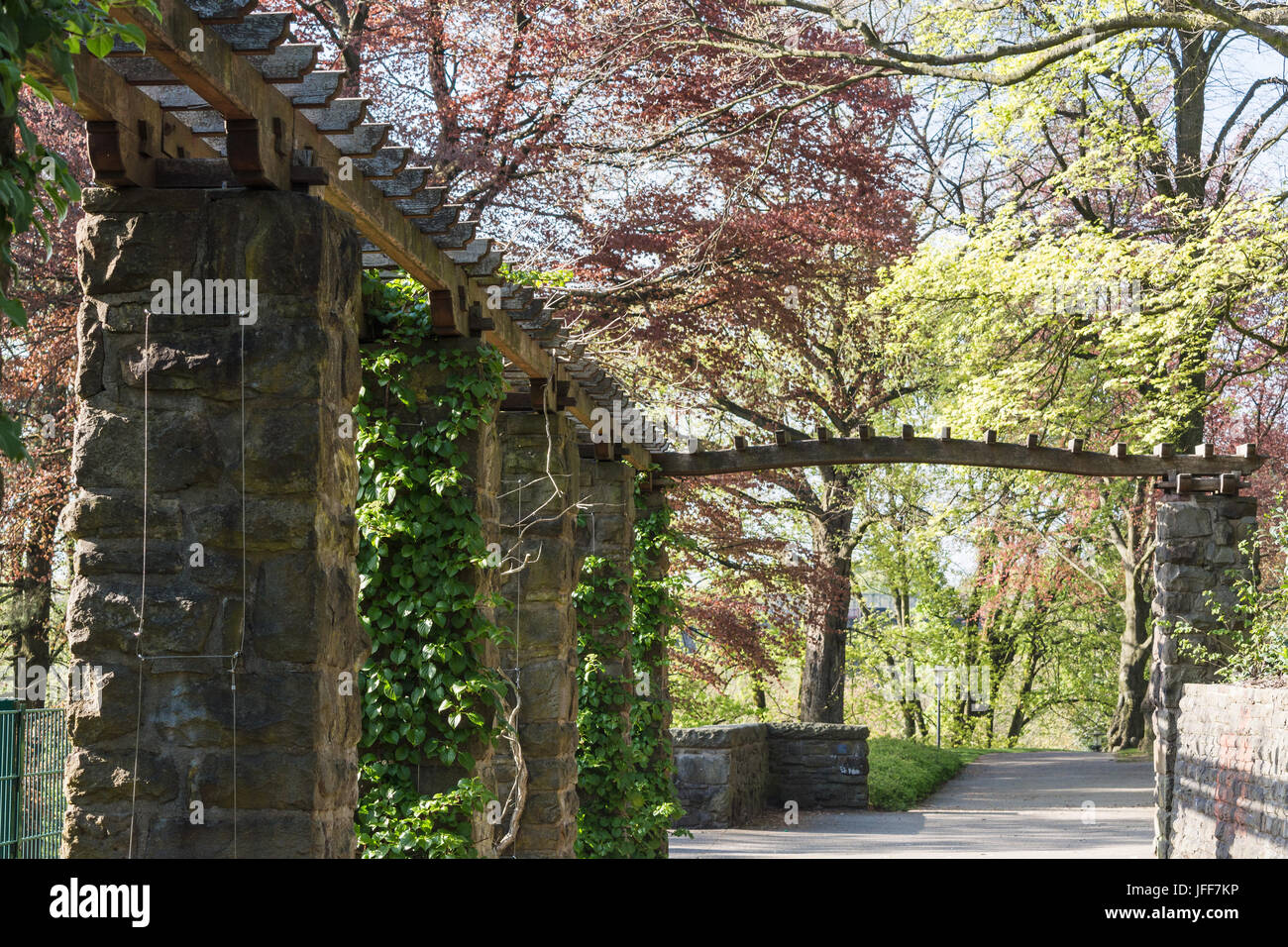 Hlzerne pergola mit Efeu bedeckt Stockfotografie - Alamy