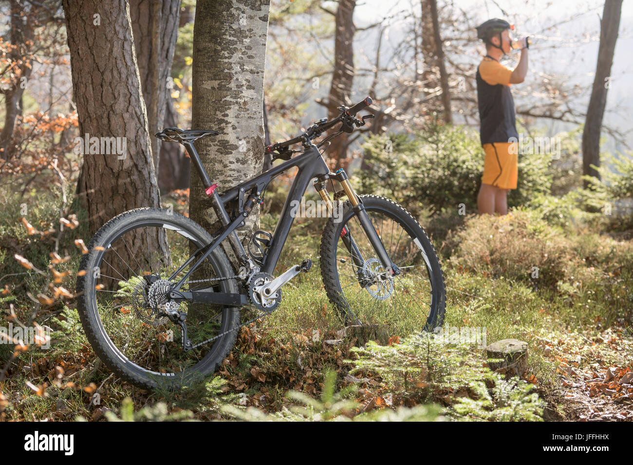 Fahrrad im Wald geparkt Stockfoto