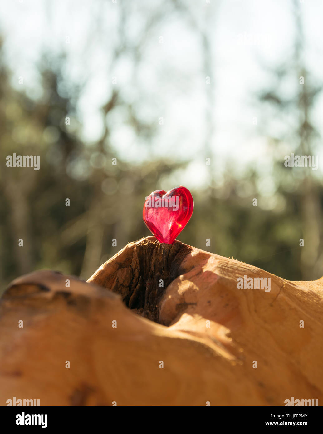 Herz auf einem Baumstamm Stockfoto