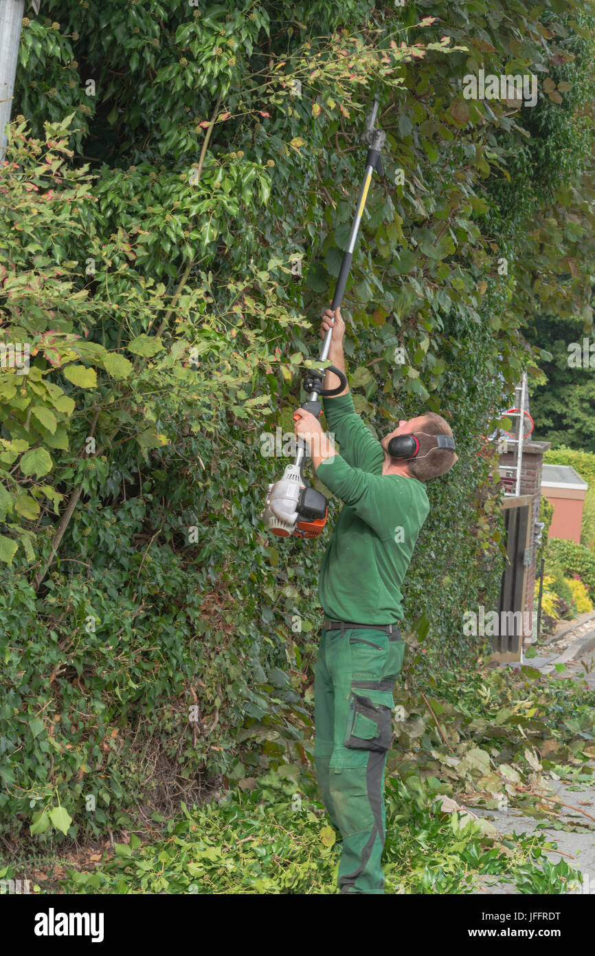 Eine Hecke schneiden Stockfoto