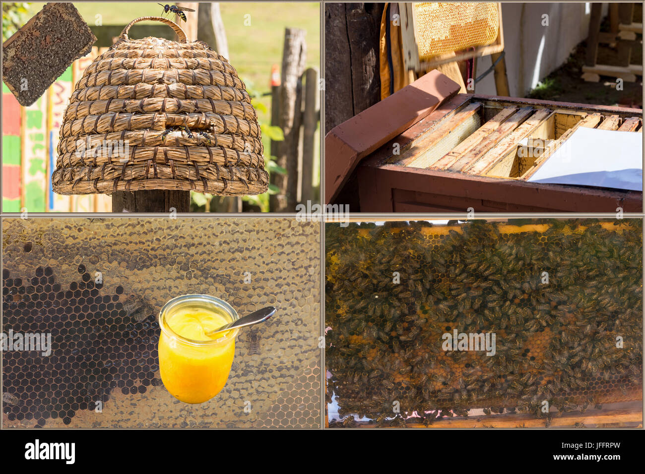 Die Bienenzucht und Honigproduktion Workflow Stockfoto