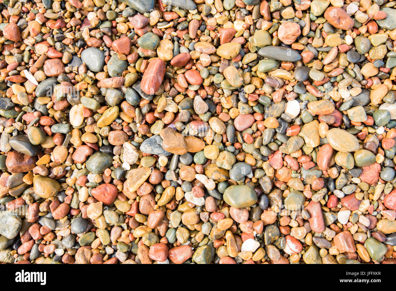 Trocknen Sie mehrfarbige Kieselsteine an einem Strand in Australien Stockfoto