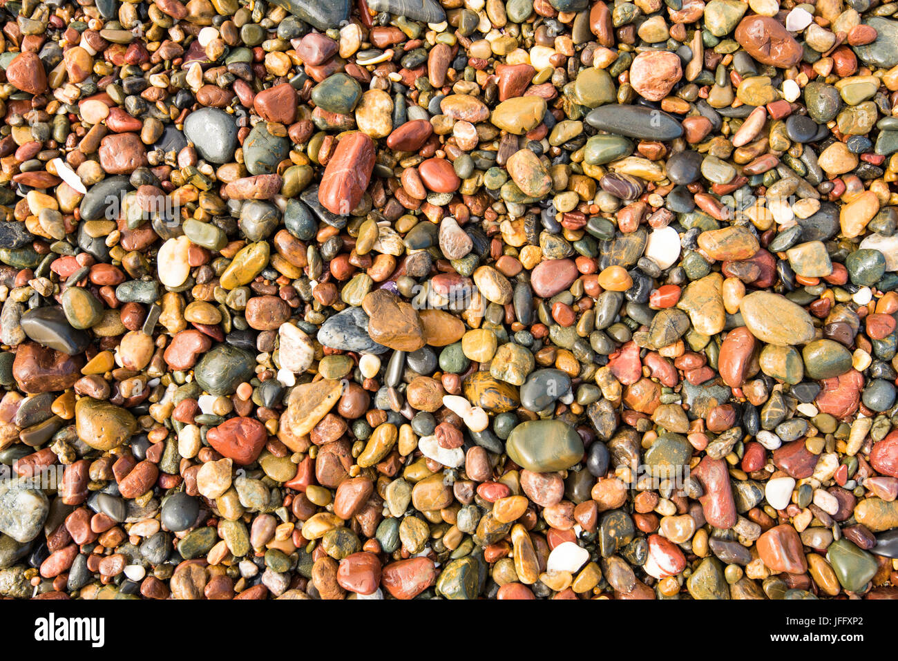 Nasse bunte Kieselsteine an einem Strand in Australien Stockfoto