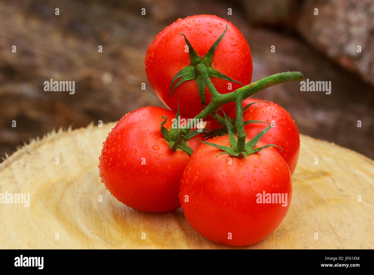 Frische rote Reife Organik Tomaten mit Wassertropfen auf Zweigen, dunkle Leinen-Serviette. Close-up. Selektiven Fokus. Ansicht von oben. Konzept der Vegetarier, gesunde f Stockfoto