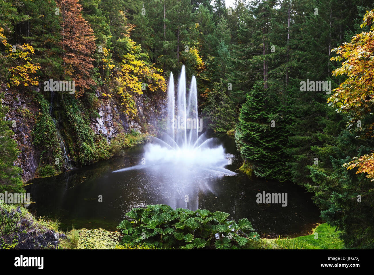 Die große Fontäne im See Stockfoto