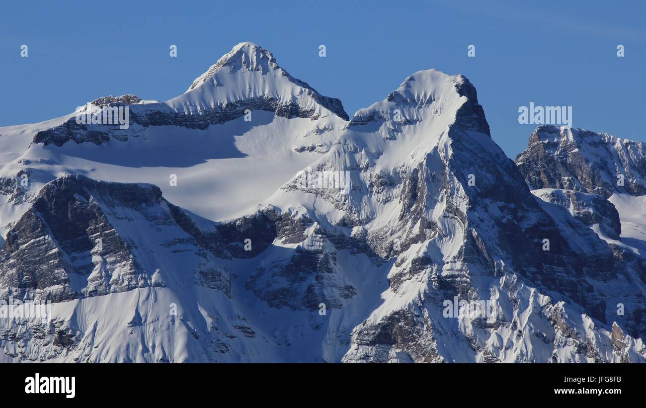 Uri Rotstock, Schweizer Alpen Stockfoto