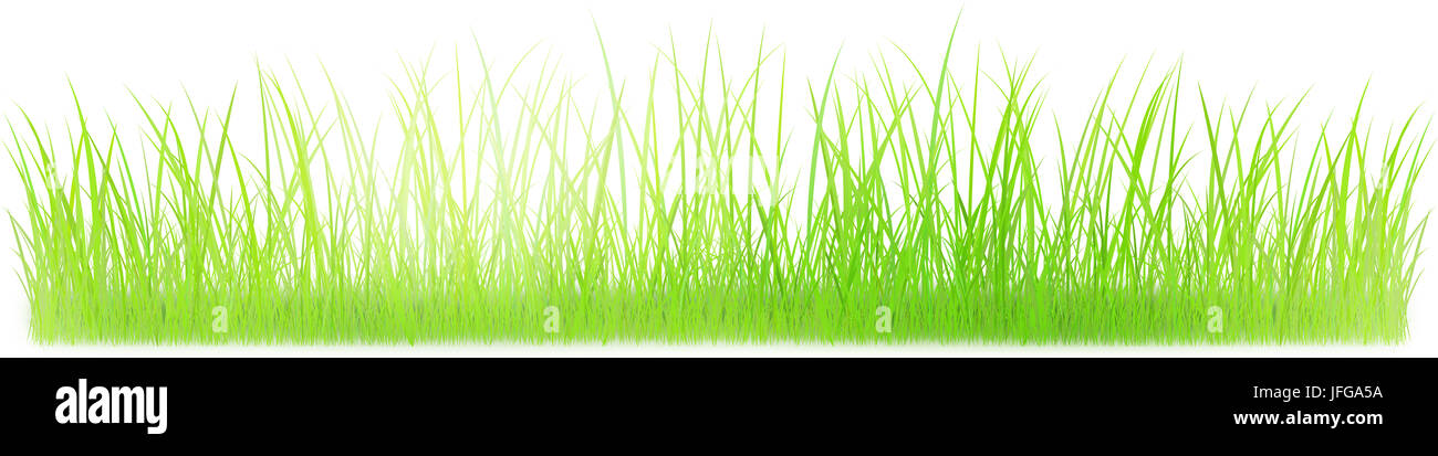 Grüne Gras sonnigen Grafiken banner Stockfoto