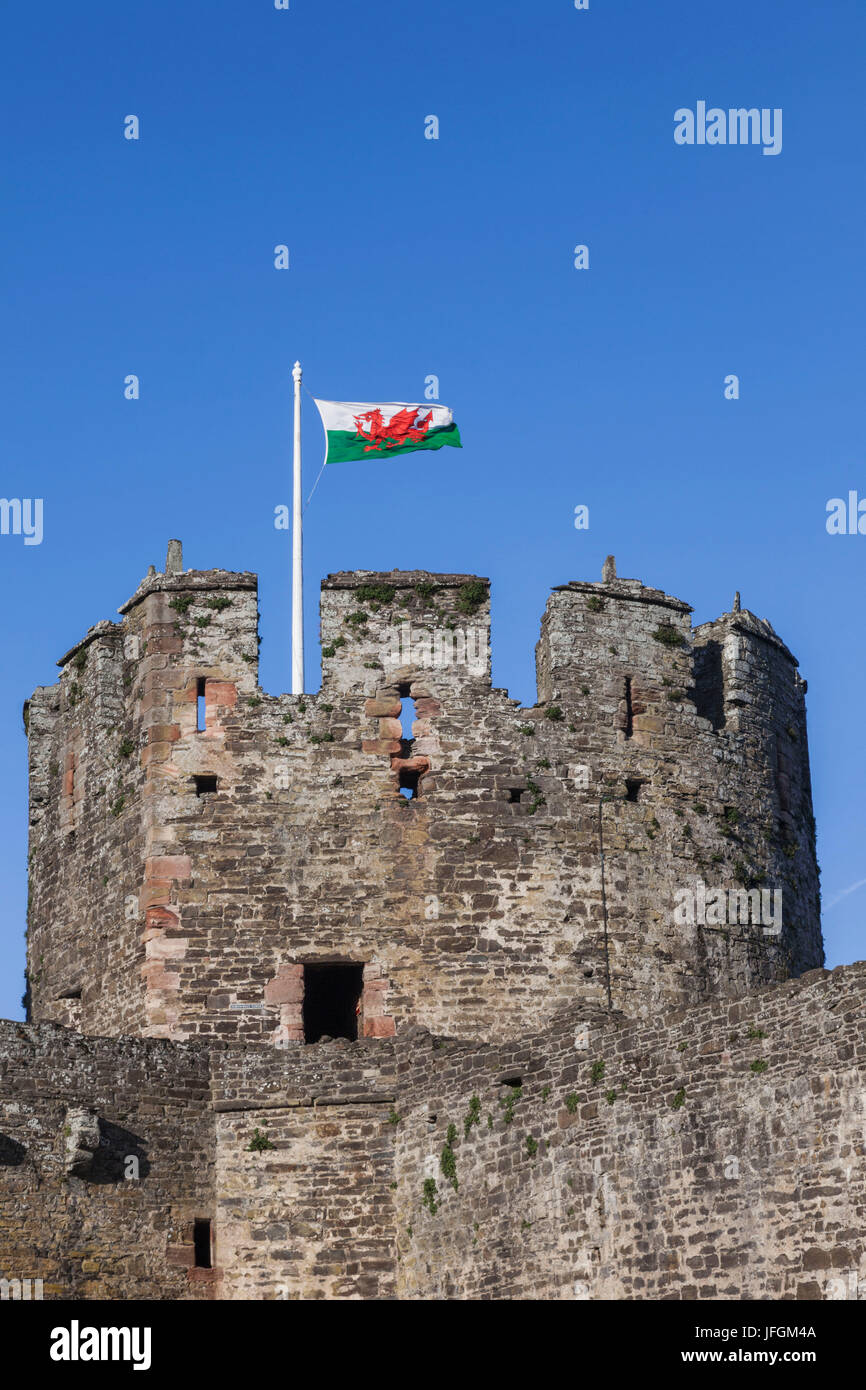 Wales, Conwy, Conwy Castle, Burg Turm und walisische Flagge Stockfoto