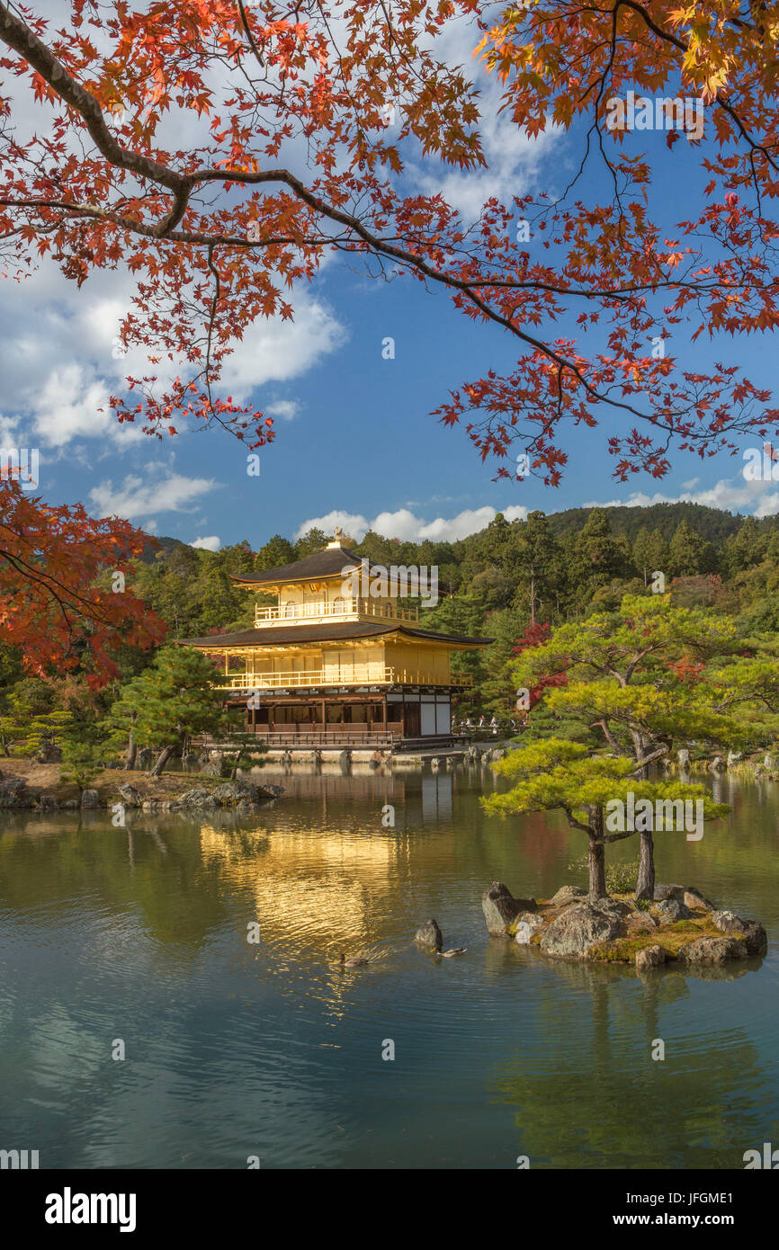 Japan, Kyoto City, den goldenen Tempel Kinkaku-Ji Stockfoto