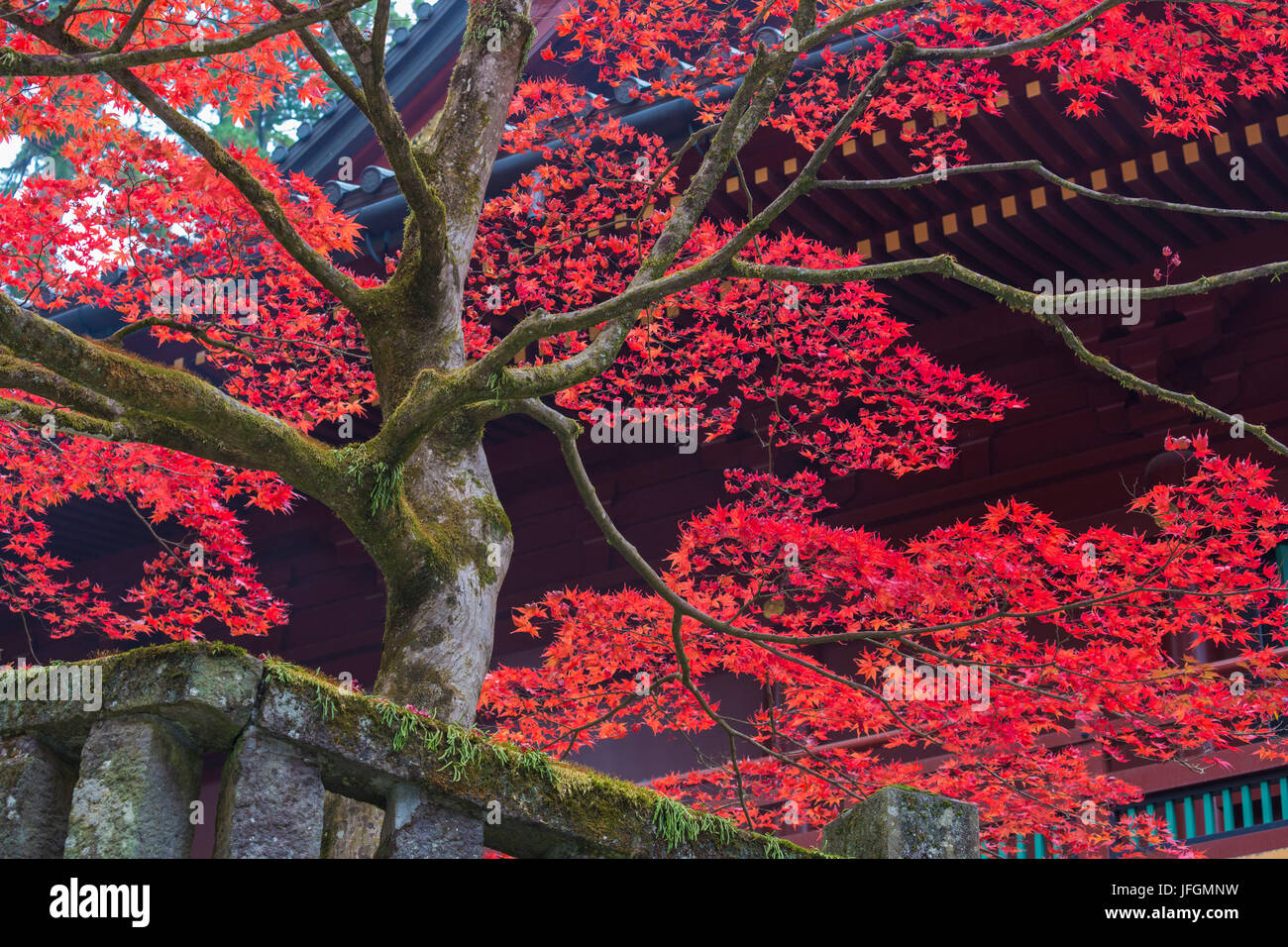 Japan, Nikko Stadt, Geschichtliches, Herbstfarben Stockfoto