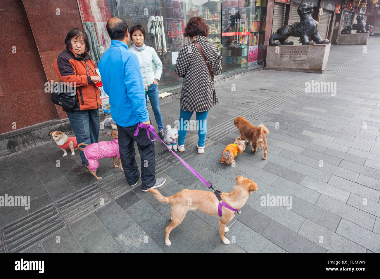 China, Shanghai, Gruppe von Frauen mit Hunde Stockfoto