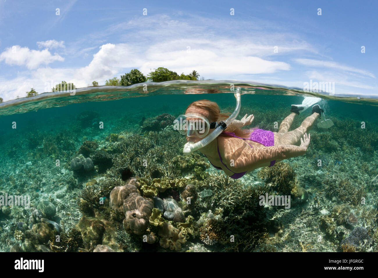 Zu Schnorchel in den Untiefen, Florida Inseln der Solomon Inseln Stockfoto