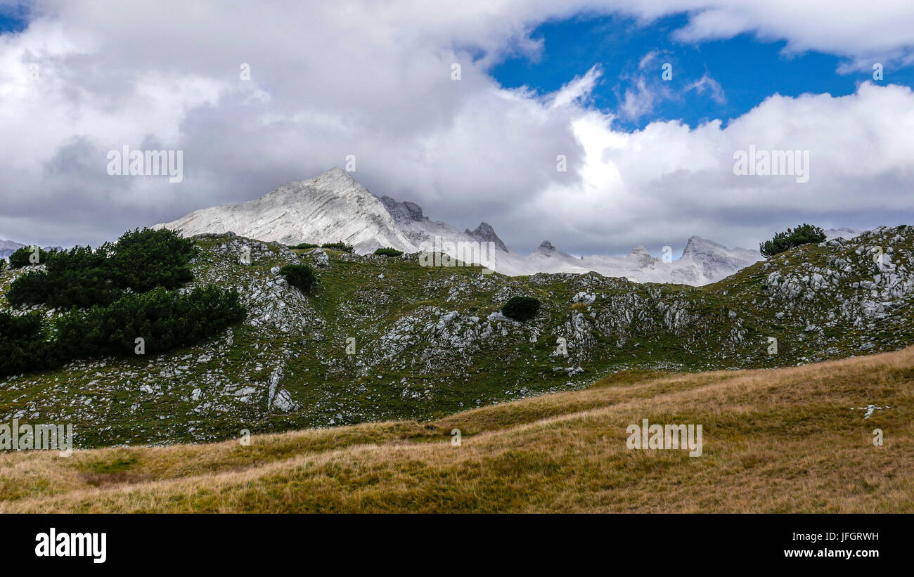 herbstliche Rasen auf der Rückseite der Reps, Blick auf südlichen Sonnenspitze und Lalidererspitze, Karwendel, Tyrol Stockfoto