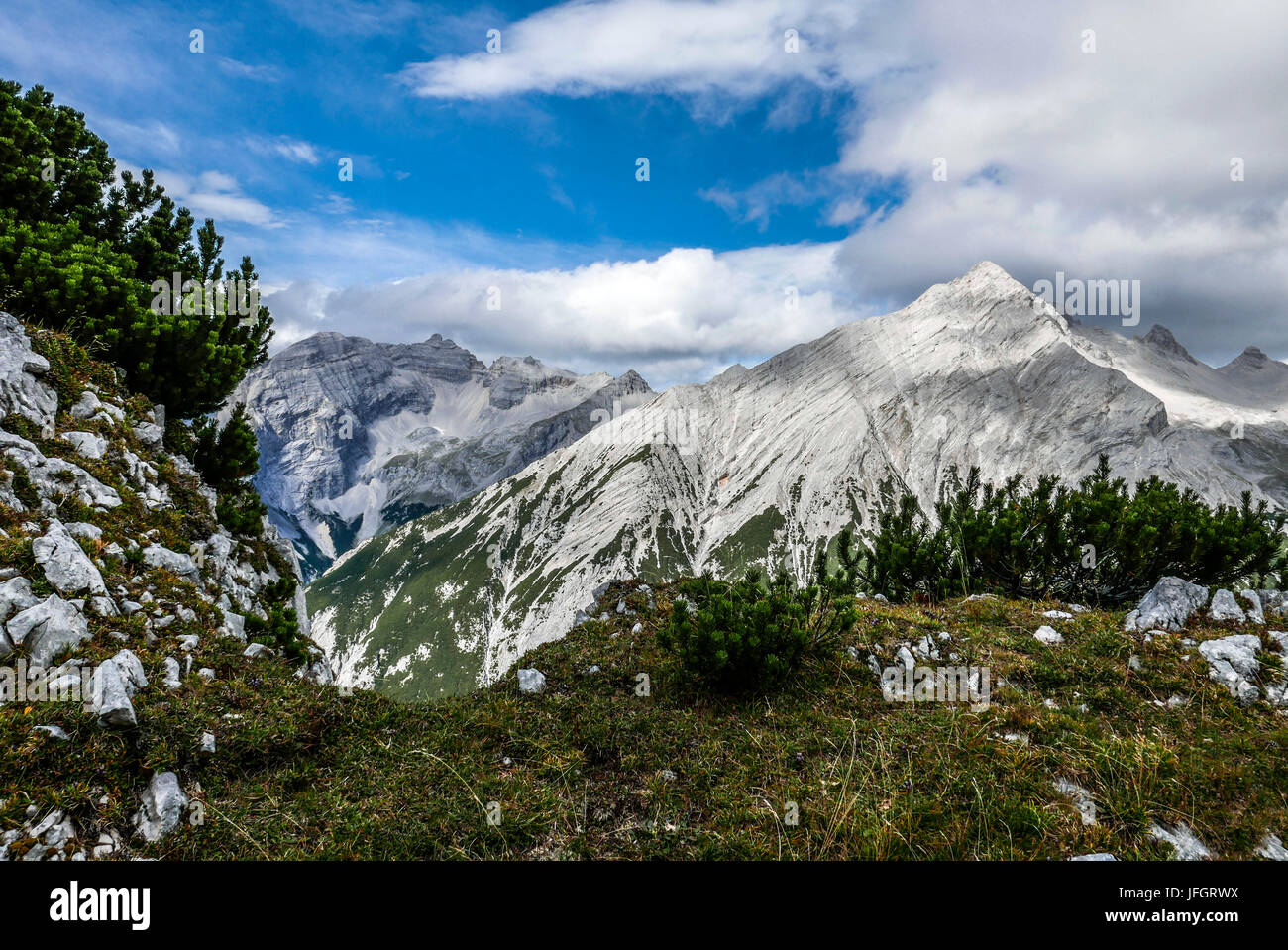 Latschen und Rasen auf der Rückseite die Wiederholungen anzeigen bei Kaltwasserspitzet und südliche Sonnenspitze, Karwendel, Tirol, Stockfoto