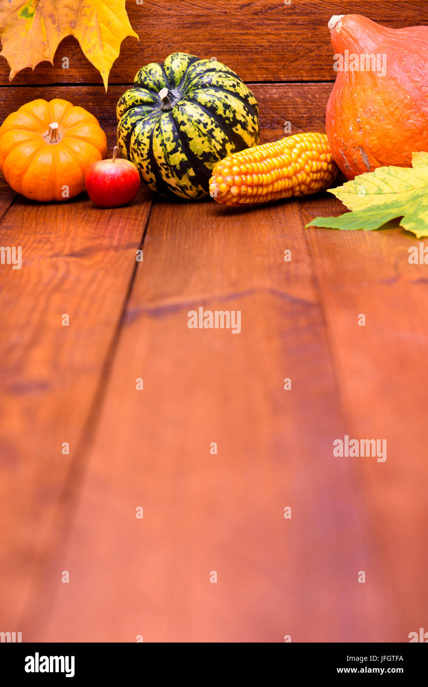 Herbst, Kürbis als Dekoration auf Holz Stockfoto