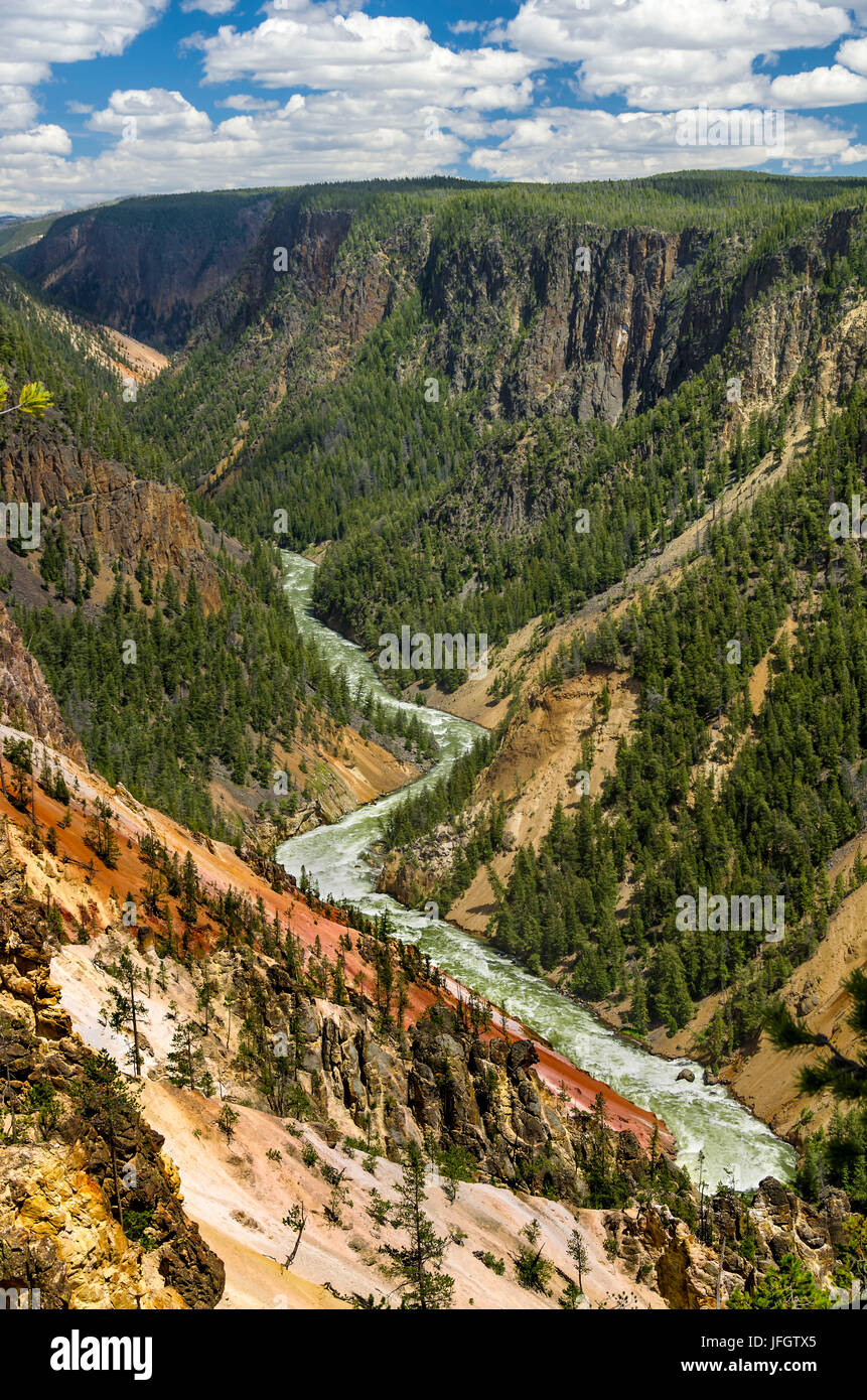 Canyon Junction, Grand Canyon des Yellowstone in Wyoming, USA Stockfoto