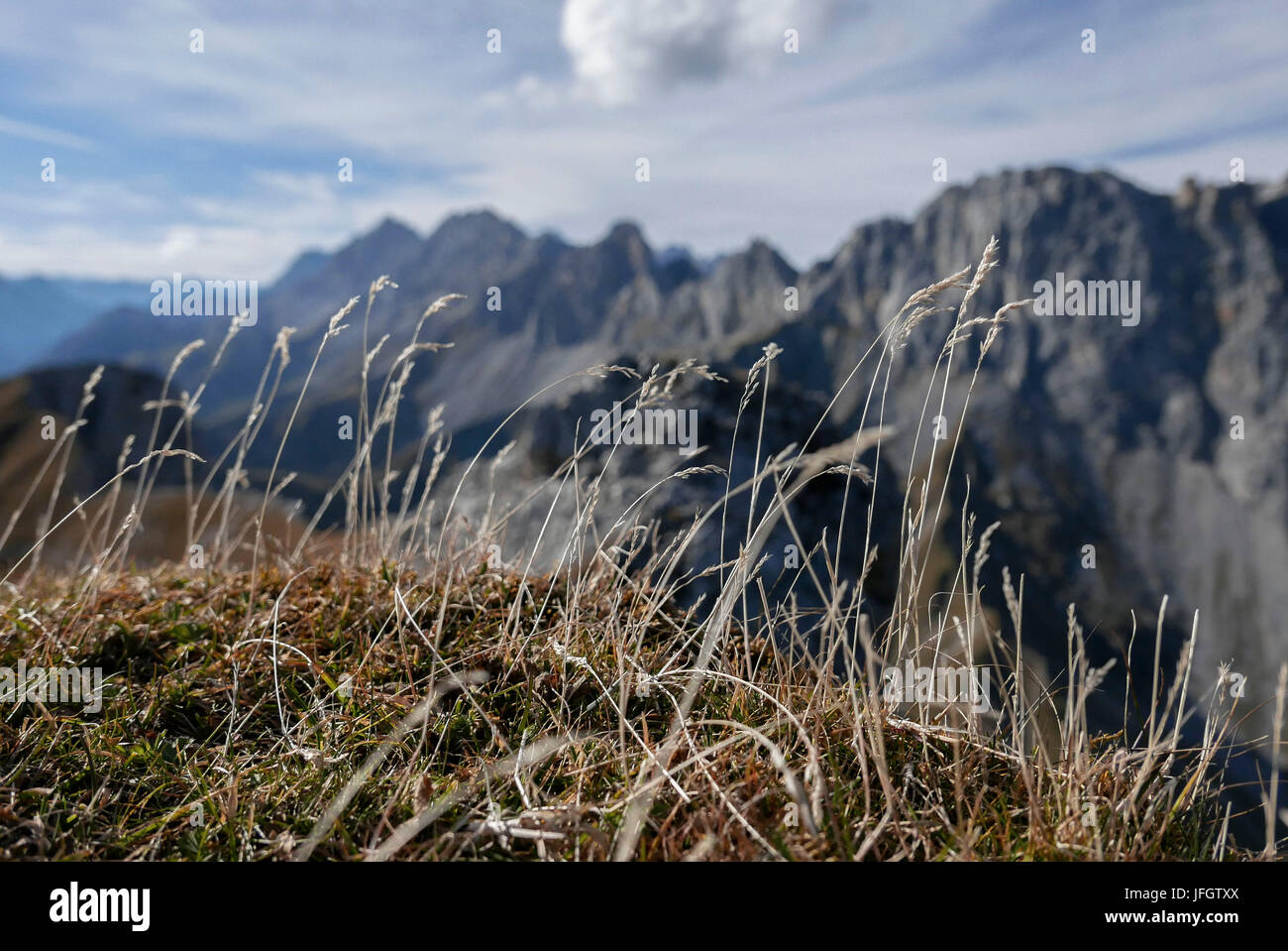 Herbststimmung, trocknete aus langen Rasen im Bereich Gipfel vor Bergkette, Wettersteingebirge, Tyrol Stockfoto