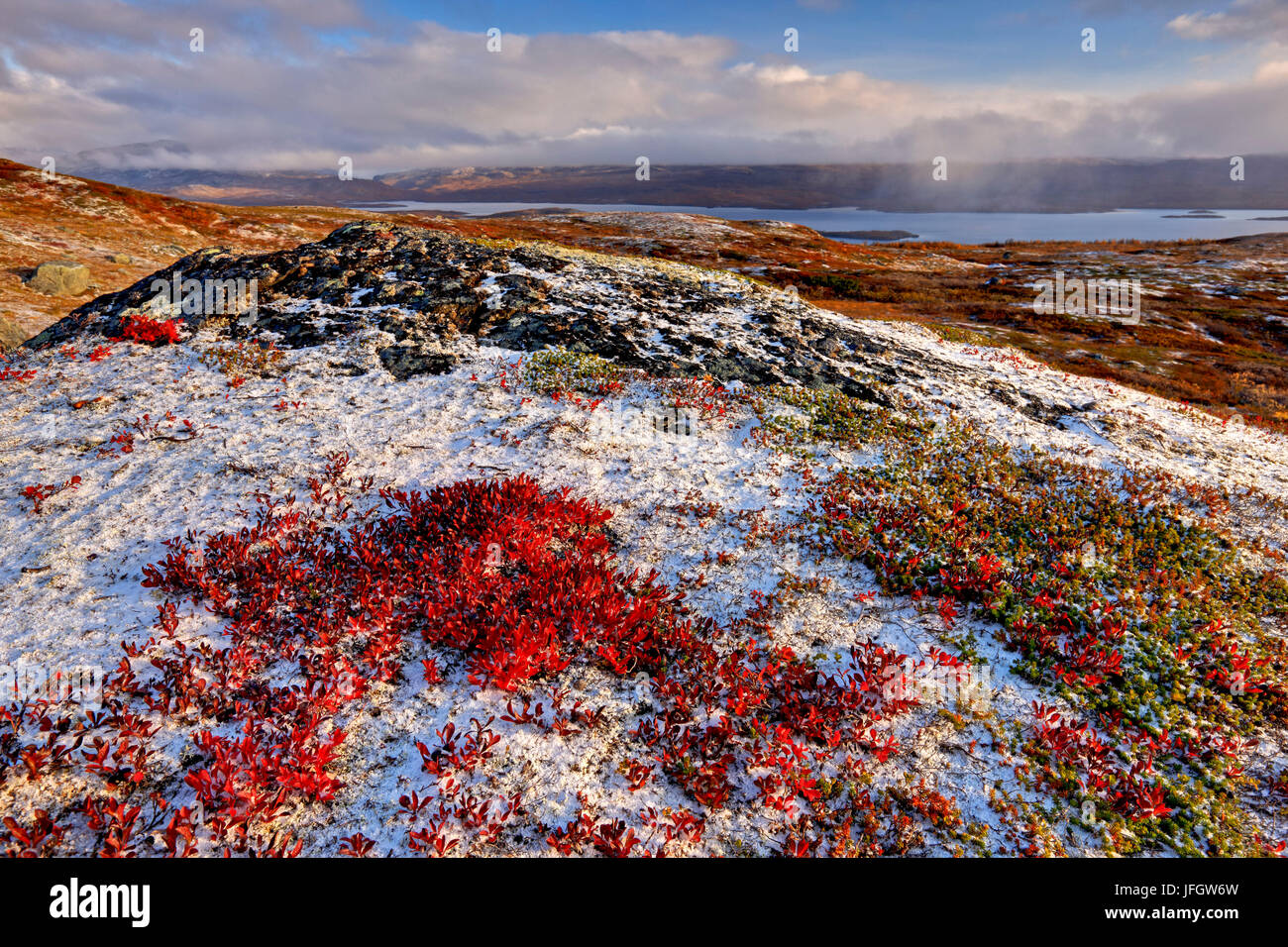 Europa, Schweden, Lappland, Provinz Norrbotten, Abisko Nationalpark, Tundra, im Hintergrund der Torneträsk Stockfoto