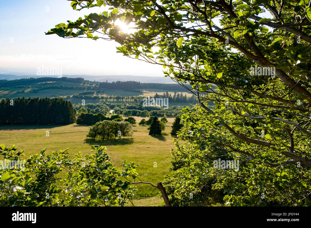 Blick auf den Hoherodskopf, Vogelsberg, Hessen, Deutschland Stockfoto