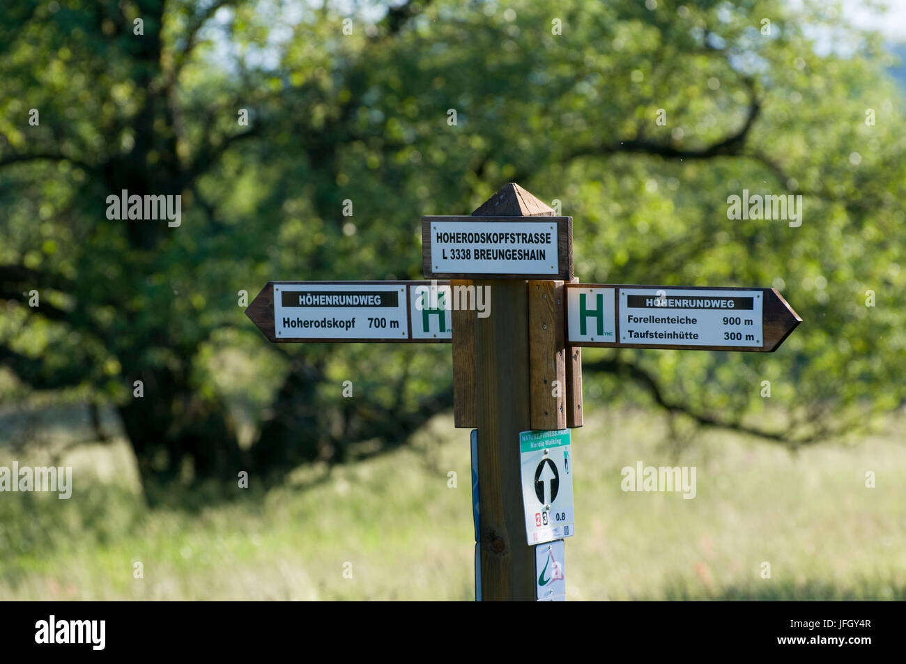 Wanderweg-wiser, Hoherodskopf, Vogelsberg, Hessen, Deutschland Stockfoto