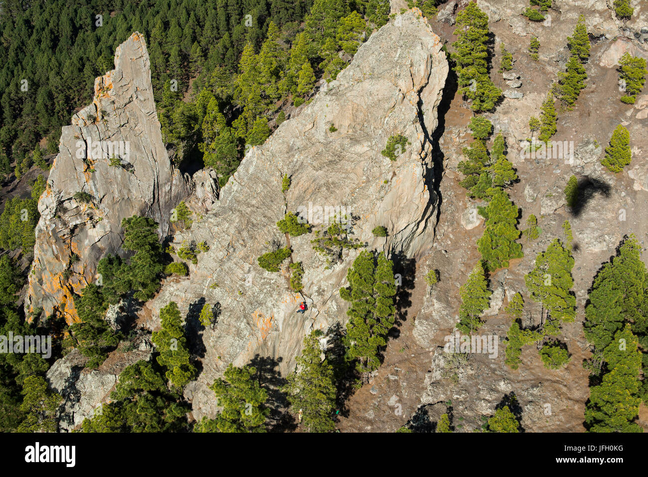 Vulkan-Landschaft in der Caldera mit Klettern Fels und Kiefer Holz, La Palma, Luftbild, Lesung Manchas, Kanarische Inseln, Spanien Stockfoto
