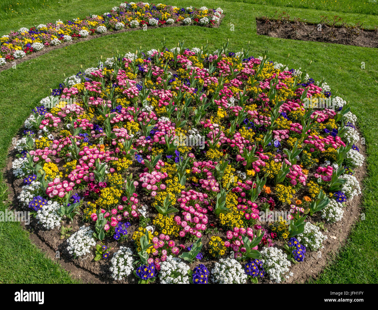 Farbige Blumenbeet mit Frühlingsblumen im Schloss Garten Dachau, Upper Bavaria, Bayern, Deutschland, Europa Stockfoto