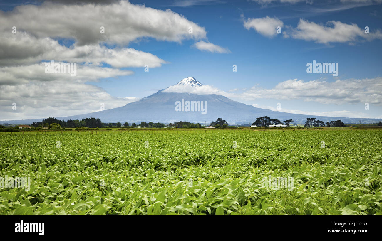 Mount Taranaki in Neuseeland Stockfoto