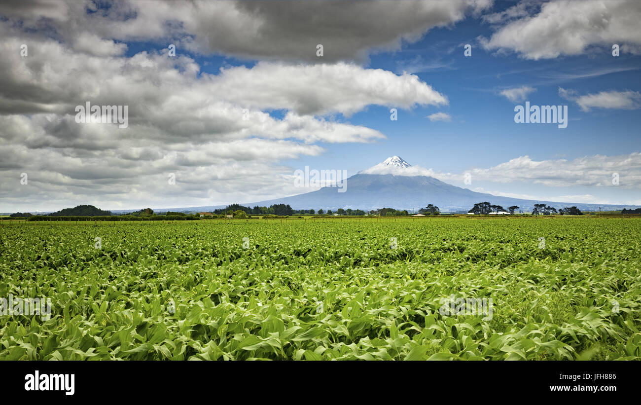 Mount Taranaki in Neuseeland Stockfoto