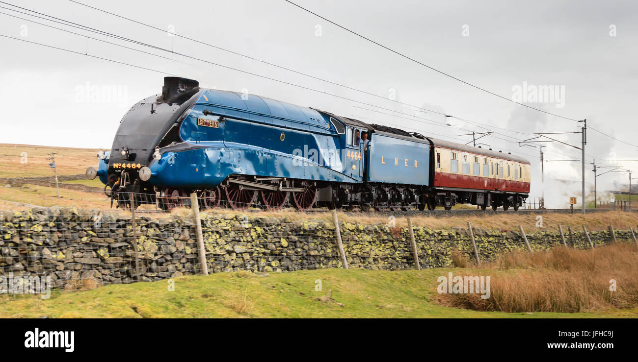 Rohrdommel.  Sir Nigel Gresley Dampf Lok erhalten ist Rohrdommel Shap Gipfel, England abgebildet. Stockfoto